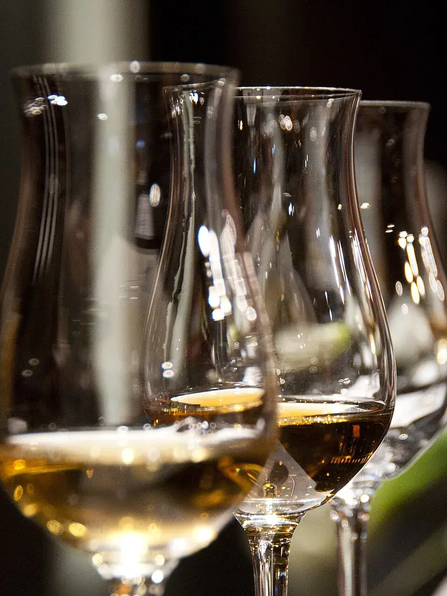 Glasses of white wine in a row